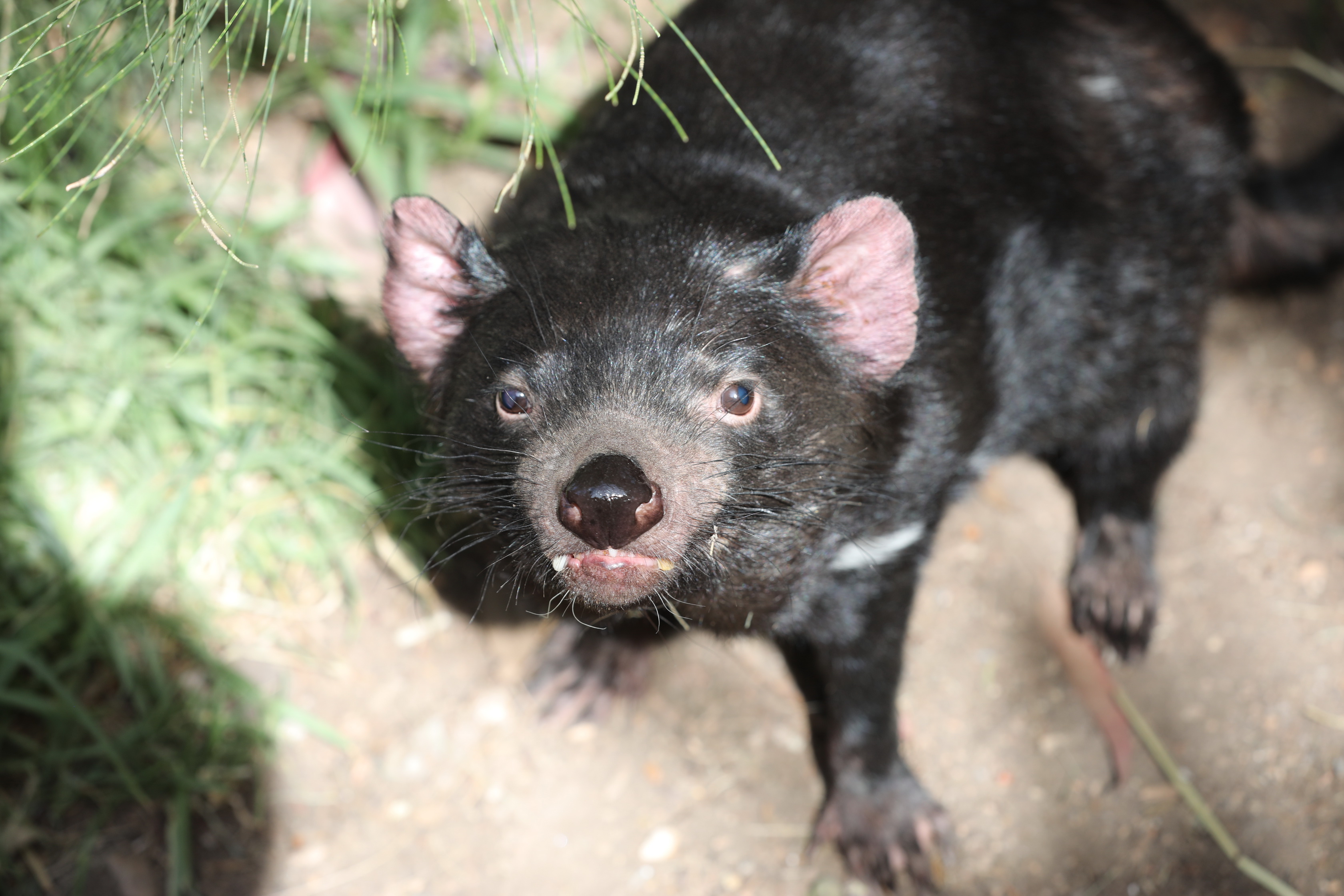 2019 11 22 16 53 05 Canon EOS 5D Mark IV 0043